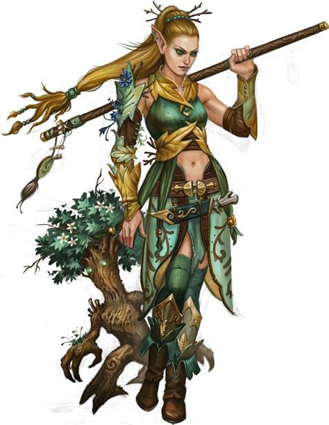 Dandd Druid 5e — Best Race In Fifth Edition Dungeons And Dragons Nerdarchy