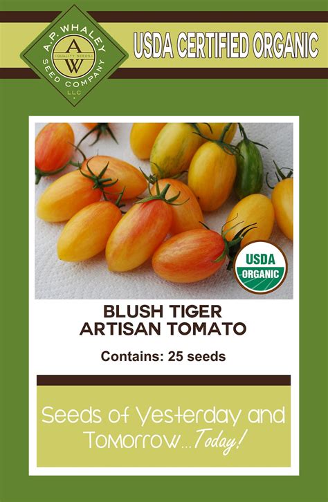 Artisan Blush Tiger Tomato Seed 25 Ct Packet Etsy