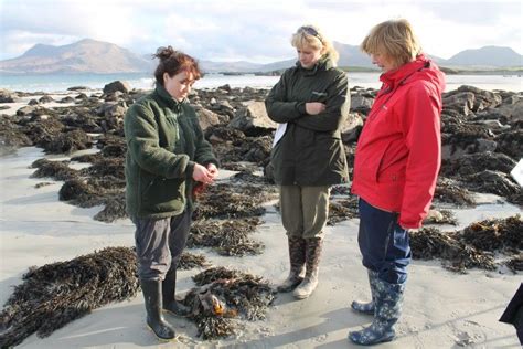 Sea Shore Investigation And Seaweed Foraging Foraging Seaweed Seashore