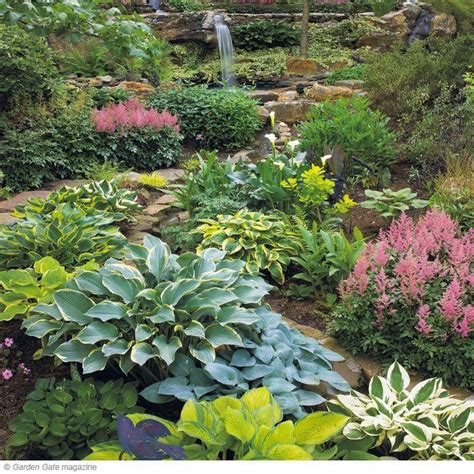The Perfect Hosta Spot Want To Get The Best Looking Hostas It All