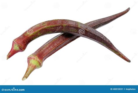 Purple Okra Stock Image Image Of Plant Nutrition Green 40810031