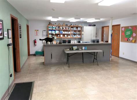 Tour Our Facility Meadows Veterinary Clinic Of East Peoria