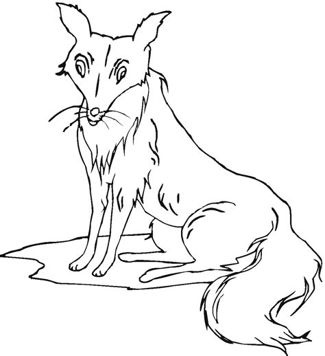 53 Images For Fox Coloring Pages Kodeposid