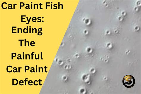 Fish Eyes Ending The Painful Car Paint Defect Sleek Auto Paint