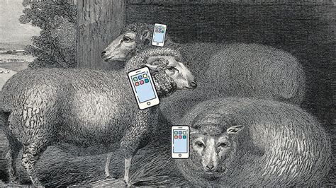 Android Or Iphone—whos The Real Sheeple By Anne Kadet