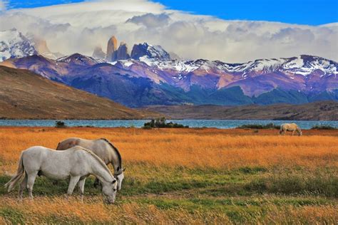 Southern Chilean Patagonia 9 Days Kimkim