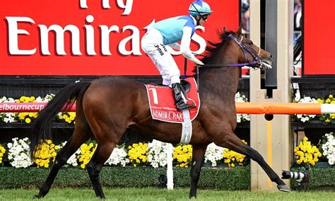 The first horse to pass the last card wins along with its bettors. Horse racing debate rages after two deaths in the ...