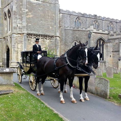 Stunning Classic Horse And Carriages For Weddings Beautiful Matched