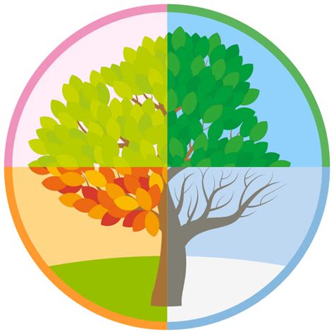 Seasons Are Different Around The World Educational Resources K12