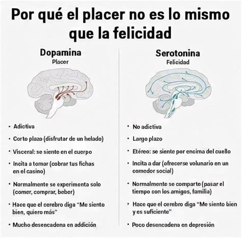 Blog Placer Vs Felicidad Psiquiatría Y Psicología