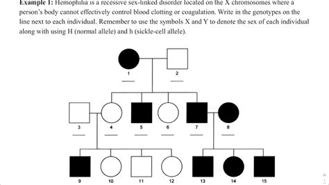 An Example Of How To Complete An X Linked Recessive Pedigree For The Trait Of Hemophilia Youtube