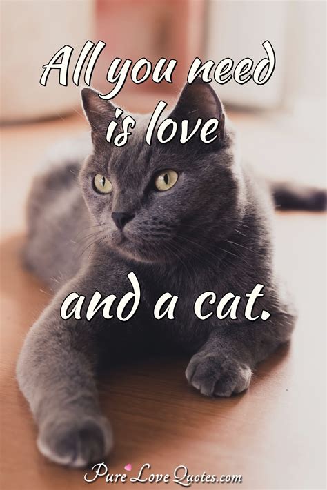 Cat Love Quotes