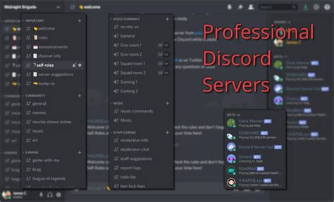 Design And Create A Professional Discord Server For You By Alexander