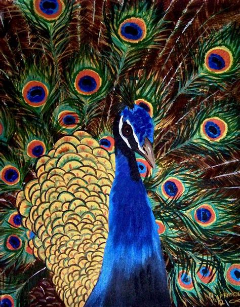 Peacock Painting By Debbie Lafrance Fine Art America