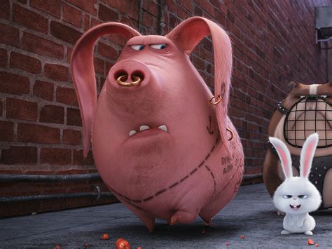 If you add up all the hours i spend looking after children, in paid employment (25 hours) and cleaning. The Secret Life of Pets wasn't lying: People have tattooed ...