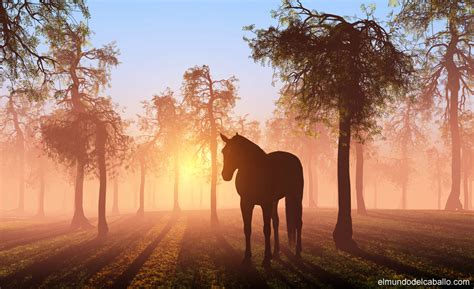 Paisajes con caballos - Imagui