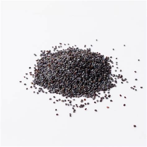 Check out this web site since you were not specific about which type of poppy seed you were interested in. Poppy Seeds | Bramble Berry