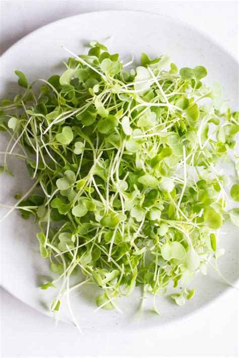 Maybe you would like to learn more about one of these? Cilantro-Lime-Garlic Cashew Cream - Oh She Glows | Recipe ...