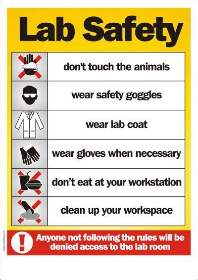 Safety Poster Lab Safety Science Lab Safety Science Lab Safety