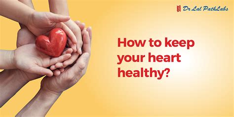 How To Keep Your Heart Healthy Dr Lal Pathlabs Blog