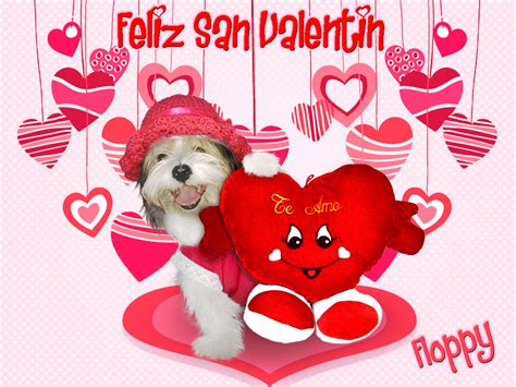 Imagenes Animadas Con Corazones Para Desear Un Feliz San Valentin Heart