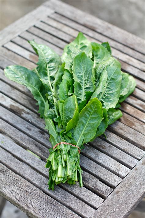 Dandelion Greens