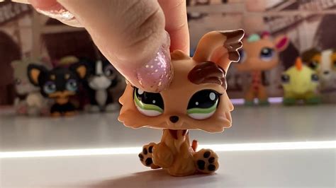 Lps Unboxing Haul Youtube