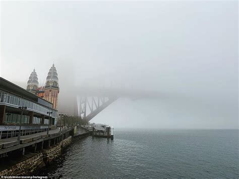 Airport Chaos As Thick Low Hanging Fog Engulfs Sydney Forcing Flights