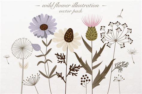 Wild flower illustration ~ Illustrations ~ Creative Market