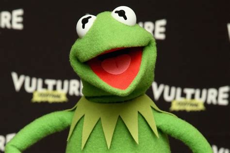 13 Best Evil Kermit The Frog Memes Photos