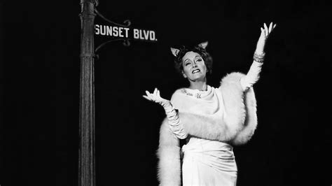 The words sunset blvd. are shown stenciled on the curb of. Film - Sunset Boulevard - Into Film