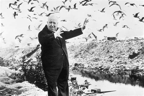 when hitchcockian horror came true the 1960s killer bird swarm that inspired the birds