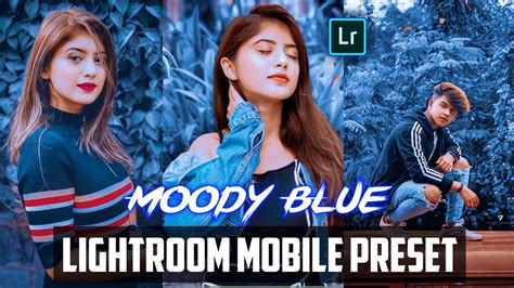 These presets work for all types of photography such as outdoor and landscape lower the temperature, desaturate the yellows, deepen the oranges, and increase the overall blue tones. Blue Moody Lightroom Mobile Presets | Lightroom Presets ...