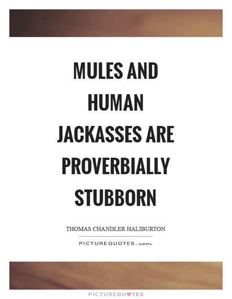 Mules Quotes Mules Sayings Mules Picture Quotes