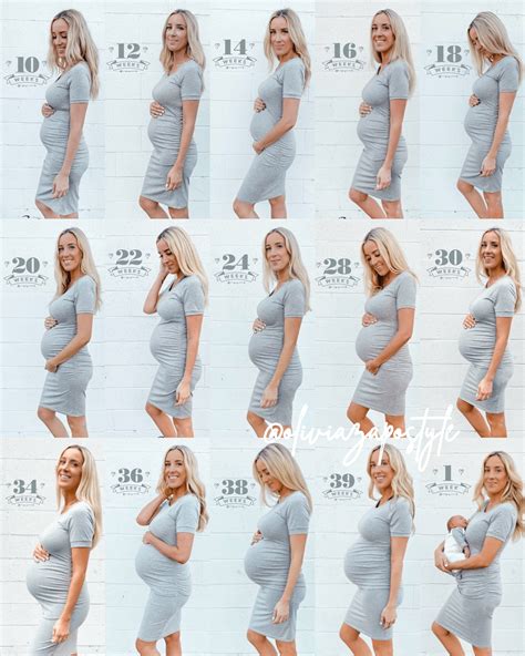 Pregnancy Progression Olivia Zapo Baby Bump Pictures Pregnancy