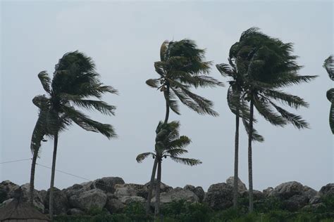 Foto Gratis Viento Fuerte Para Descargar Freeimages