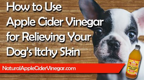 For example, it may be caused by allergies, infections, certain medicines, or skin conditions such as. Apple Cider Vinegar Itchy Dog's Skin - Natural Holistic ...