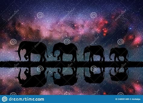 Familia De Elefantes De Noche Ilustración Del Vector Ilustración De