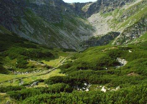 Parcul Național Munții Rodnei I Tour Proiect Național De Promovare