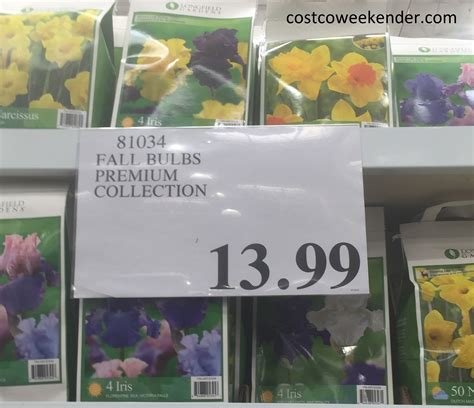 Longfield Gardens Fall Flower Bulbs Premium Collection Costco Weekender