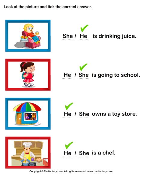 This worksheet helps kindergarteners with their ability to read and. Choose She and He from the Pictures Worksheet - Turtle Diary