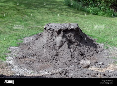 A Dirt Pile On Green Grass On A Sunny Day Ready To Be Spread Out Stock