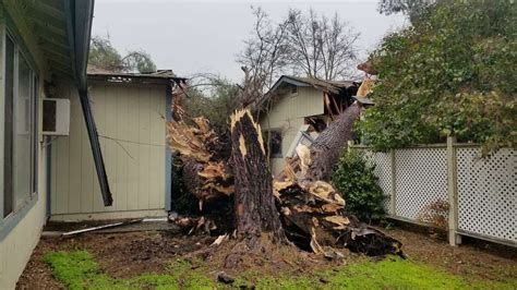 Falling Trees Are Wrecking Homes Crushing Cars And Blocking Roads