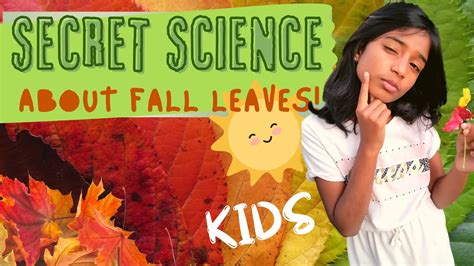 All About Fall Leaves Science Behind Fall Leaves Kids Science