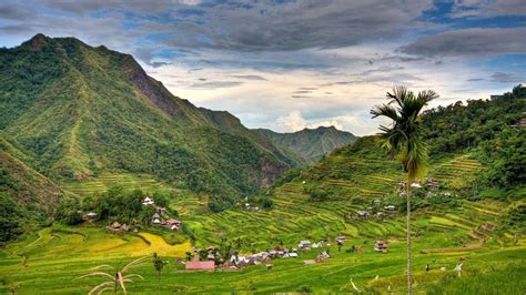 Banaue Rice Terraces Wallpapers Top Free Banaue Rice Terraces