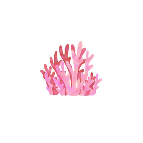 Pink Coral Reef 22095061 Png