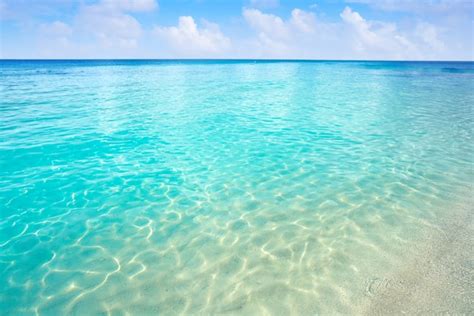 Premium Photo Caribbean Turquoise Beach Clean Waters