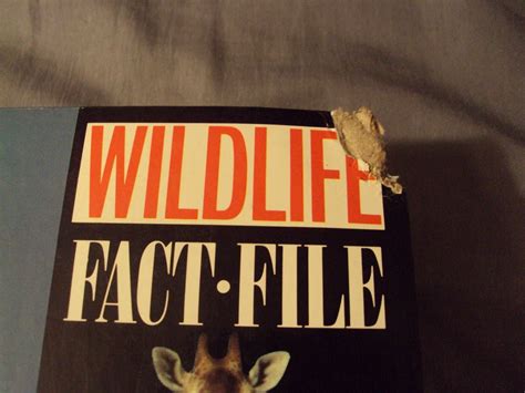 Wildlife Fact File Binder With Cards 11 Dividers Some Cards In Each