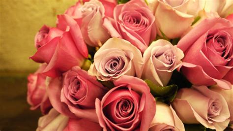 1280x720 Pink Roses Bouquet 720p Hd 4k Wallpapersimagesbackgrounds