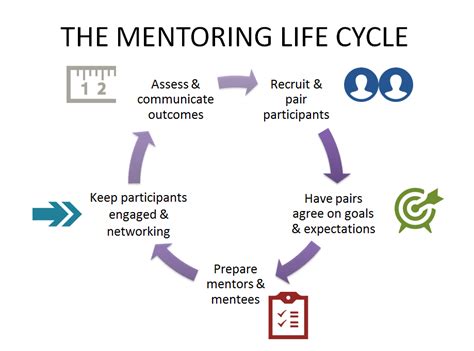 Jump On Board The Mentoring Life Cycle Everyone Is Doing It Apqc